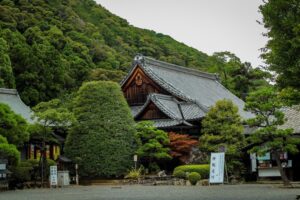 A Japanese house with a slanted roof in a forest of tree trees